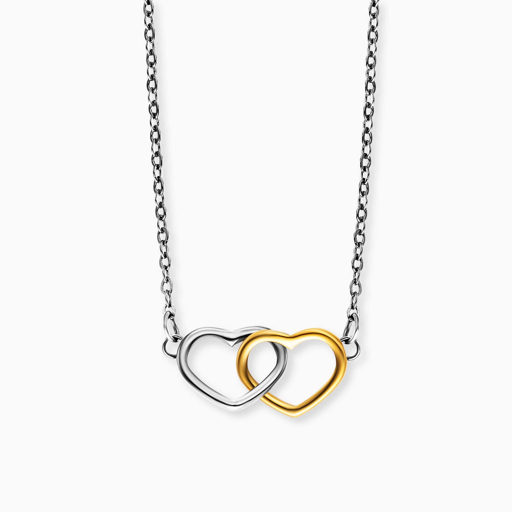 MySteel Neverending colier otel bicolor inimi