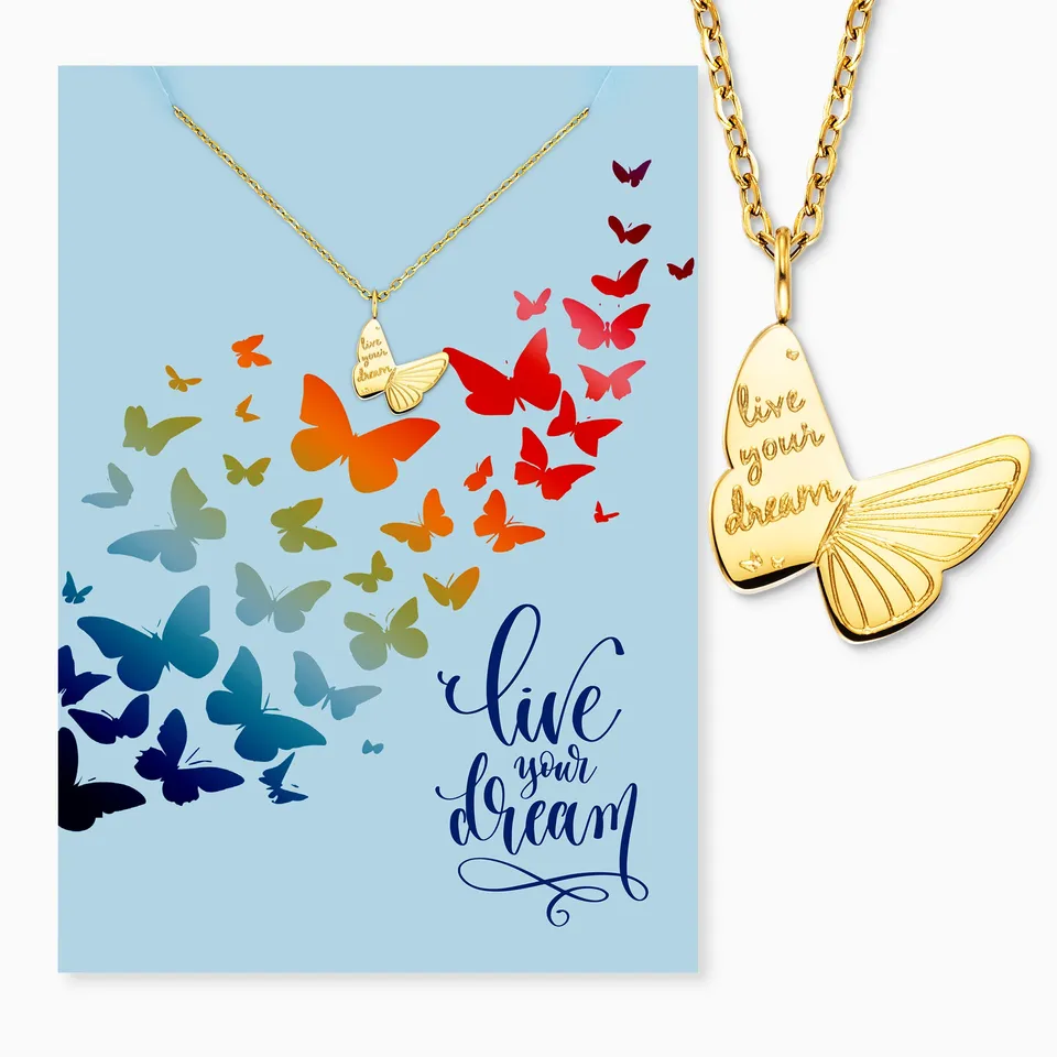 MySteel Live your Dream colier oțel auriu cu felicitare